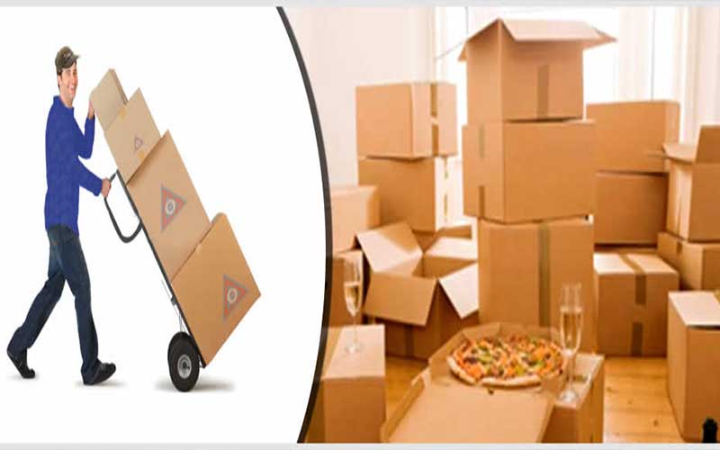 Movers and Packers in Chennai